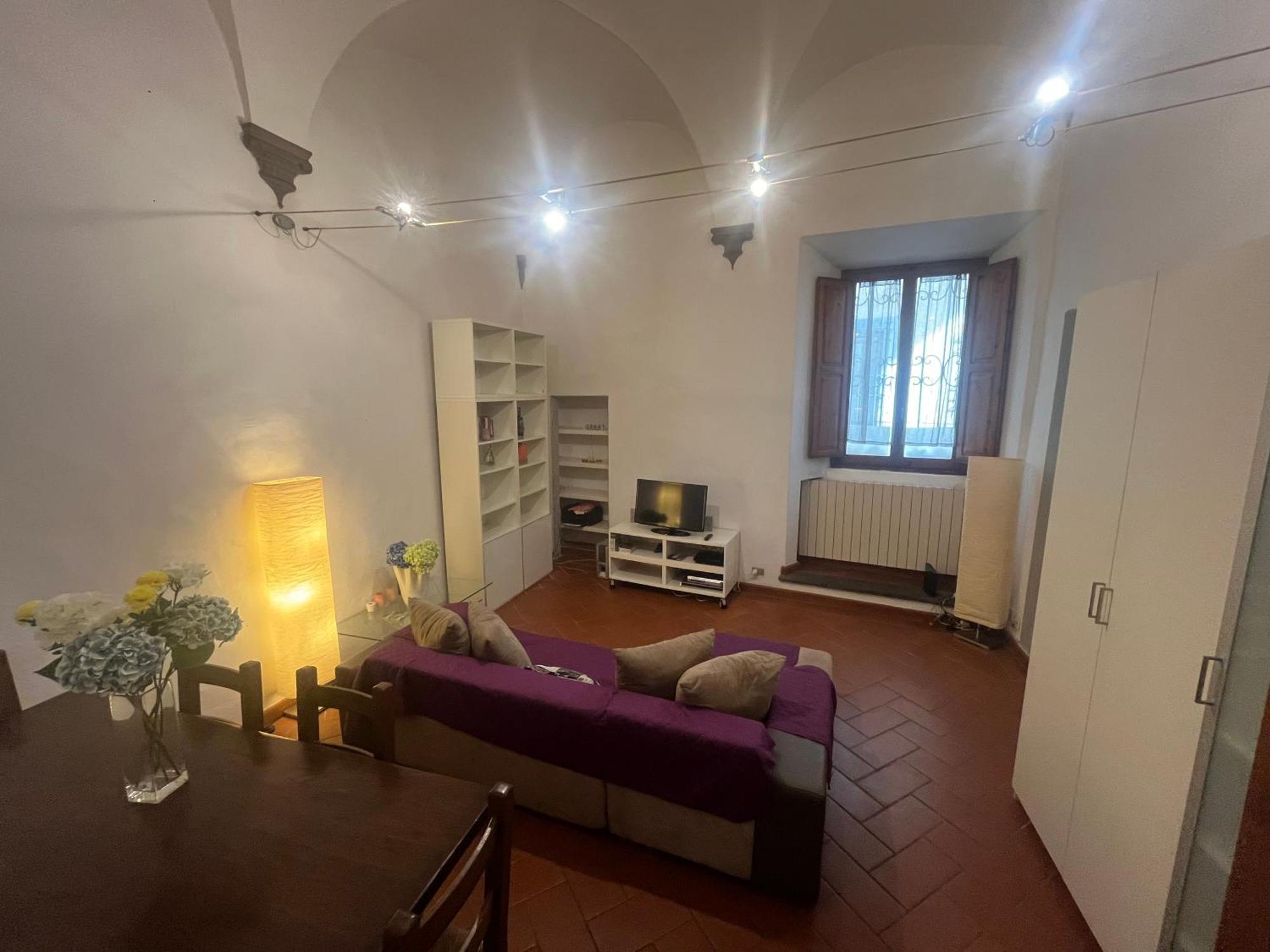 Santo Spirito Apartment Флоренція Екстер'єр фото